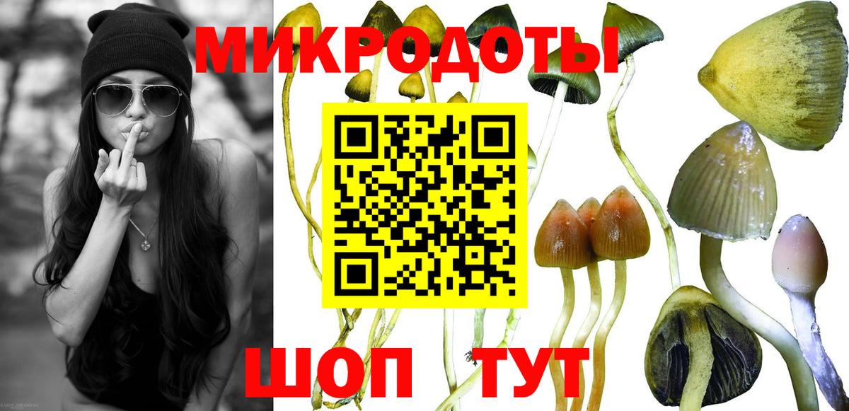 Галлюциногенные грибы прущие грибы Волжский