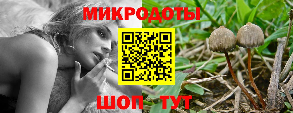 Волжский  Галлюциногенные грибы мицелий  Вход с VPN 